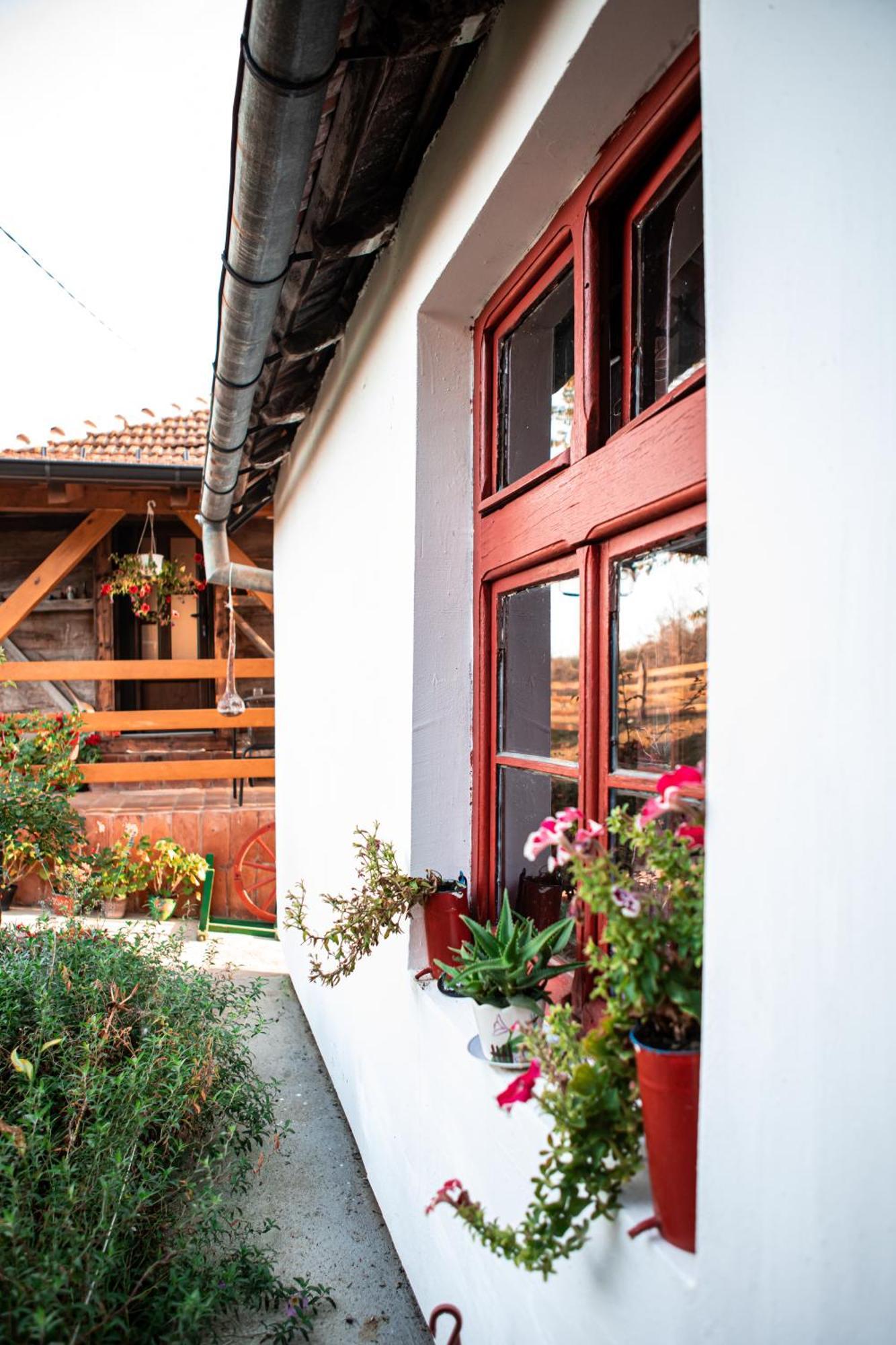 Prenociste Lelic Villa วาลเยโว ภายนอก รูปภาพ