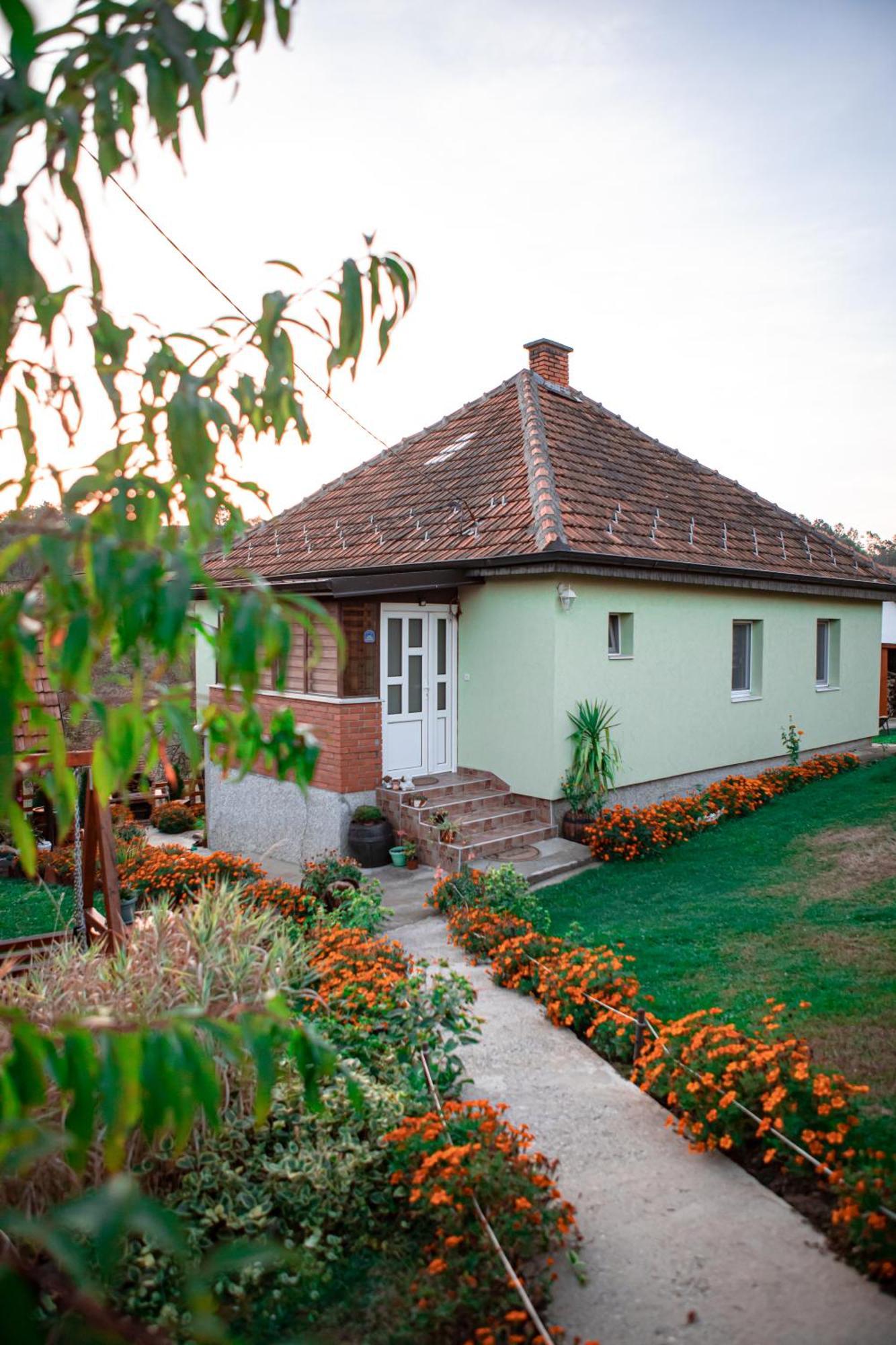 Prenociste Lelic Villa วาลเยโว ภายนอก รูปภาพ