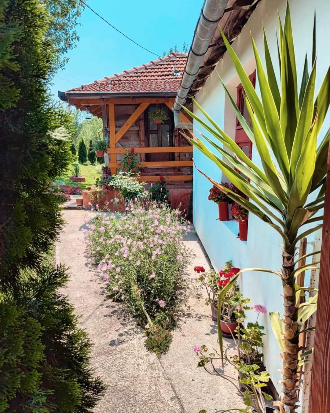 Prenociste Lelic Villa วาลเยโว ภายนอก รูปภาพ